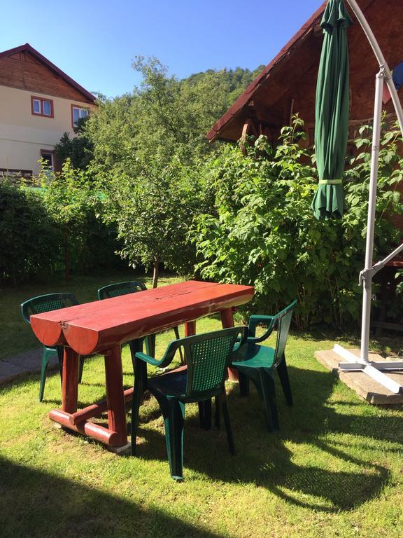 Vila Nina Hotel Azuga Zewnętrze zdjęcie