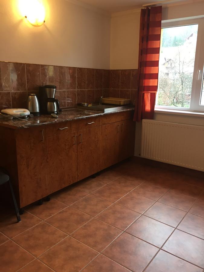 Vila Nina Hotel Azuga Zewnętrze zdjęcie