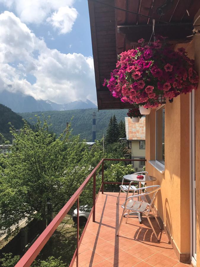 Vila Nina Hotel Azuga Zewnętrze zdjęcie
